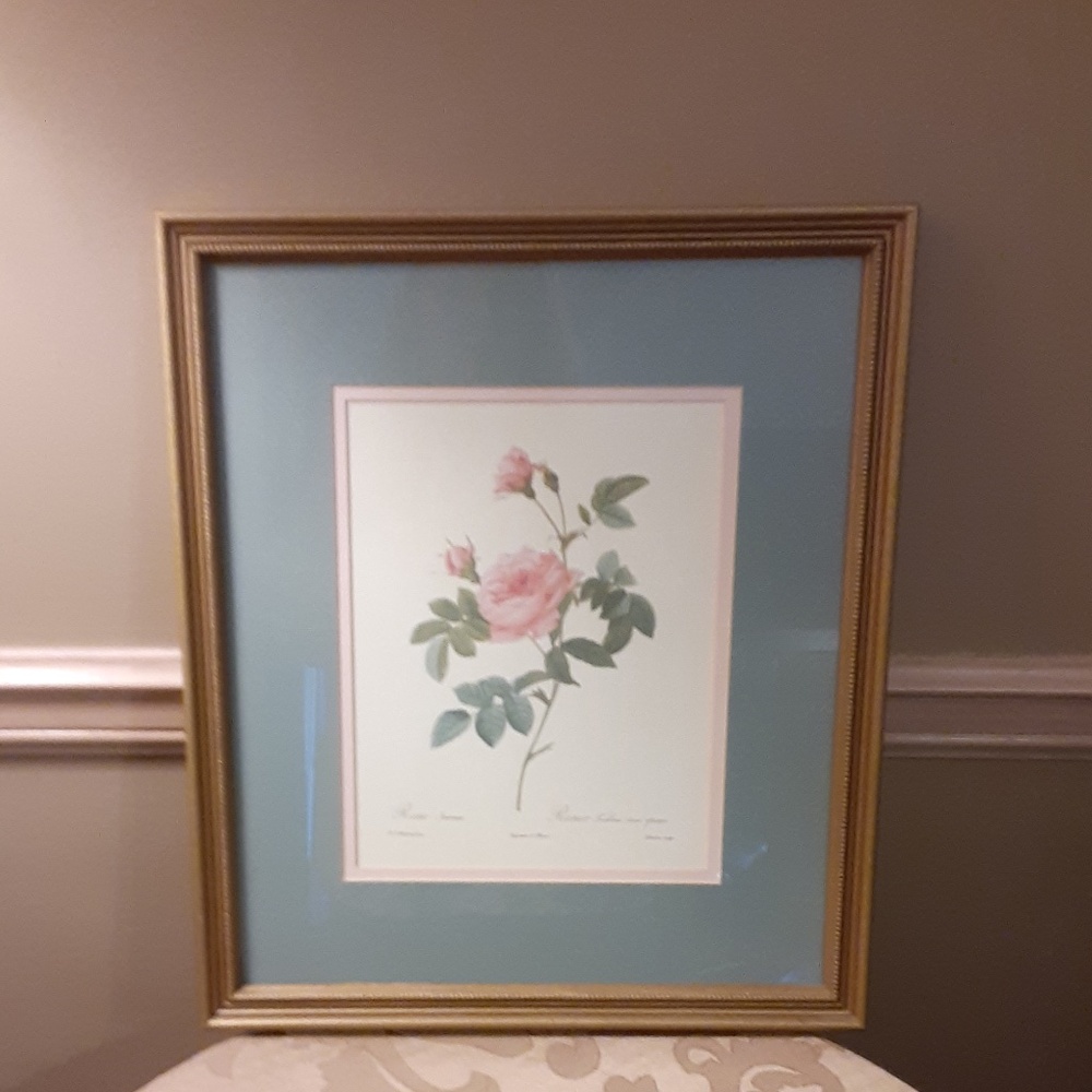 Framed Rose 13 X 15 Wall Art
